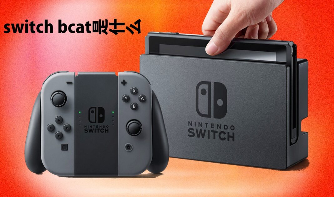 switch bcat是什么